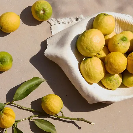 Liodentra Kardhamili