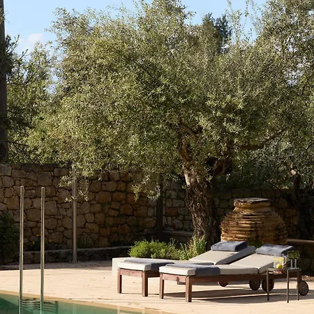 Liodentra * Kardhamili