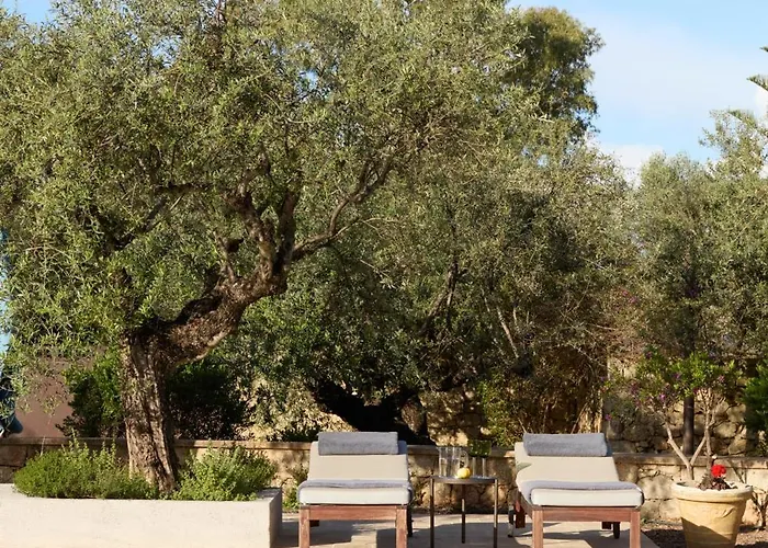 λιόδεντρα Διαμέρισμα Καρδαμύλη