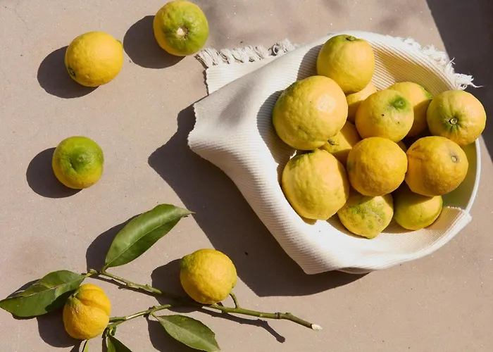 λιόδεντρα Καρδαμύλη