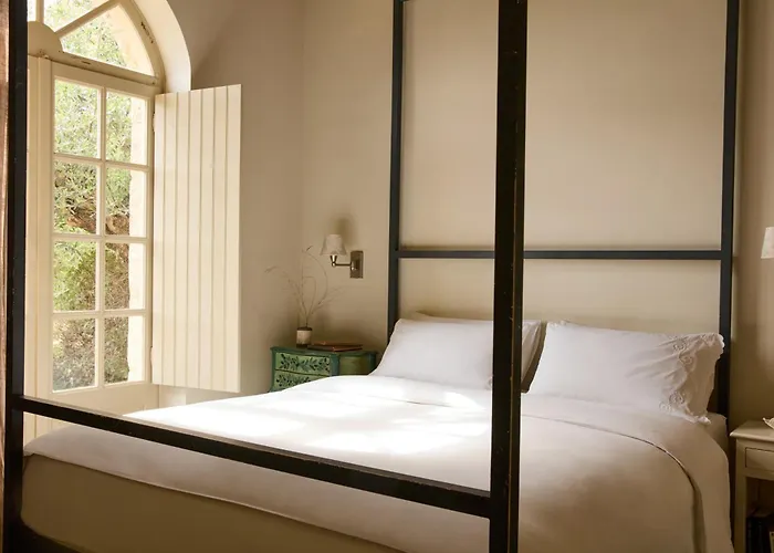 λιόδεντρα * Καρδαμύλη