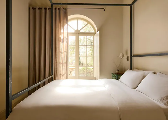 λιόδεντρα *