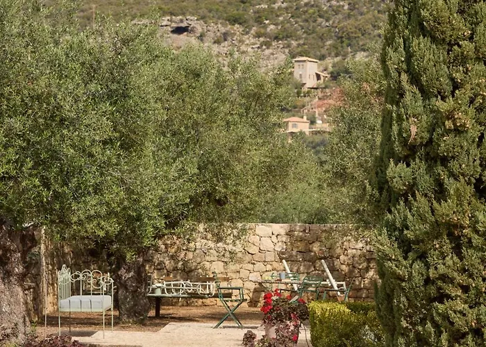 λιόδεντρα * Καρδαμύλη