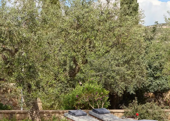 λιόδεντρα Διαμέρισμα *