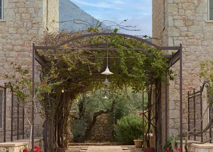 λιόδεντρα *