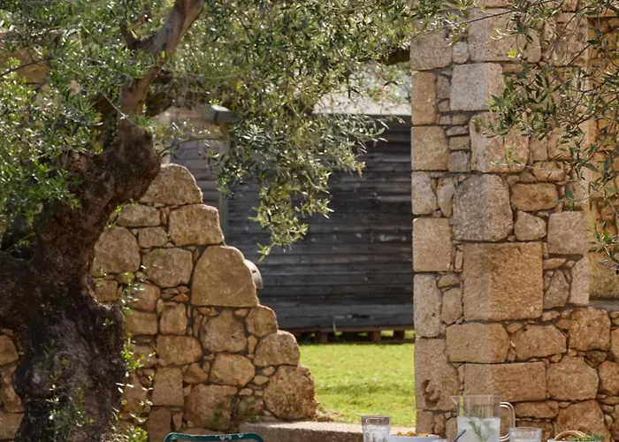 Liodentra Lejlighed *