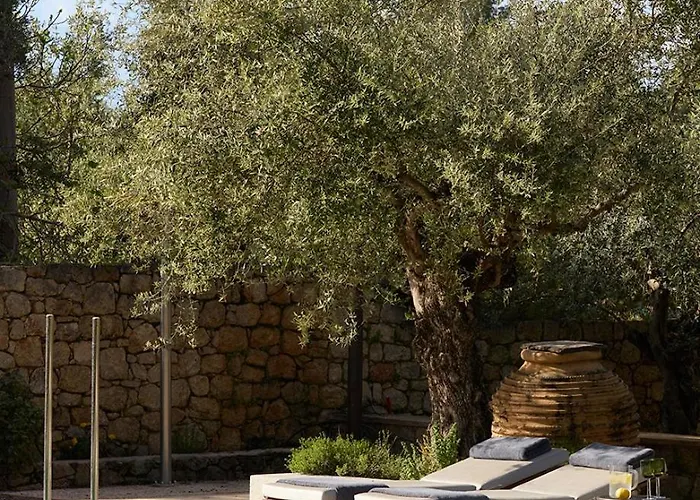 Liodentra * Kardhamili