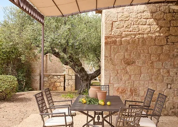 Διαμέρισμα λιόδεντρα Καρδαμύλη